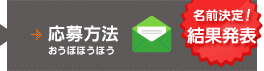 応募方法 おうぼほうほう　名前決定！結果発表